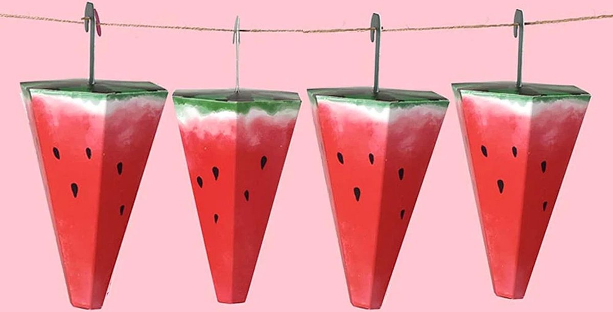 Set van 10 watermeloen traktatiedoosjes in watermeloenvorm, ideaal voor kinderverjaardagen en uitdeelmomenten